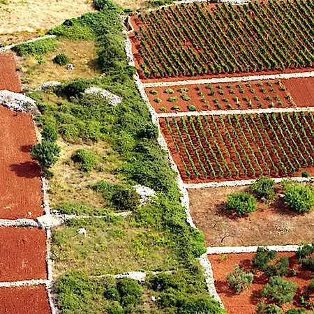 Hvareno Bed & Breakfast Dol (Hvar)